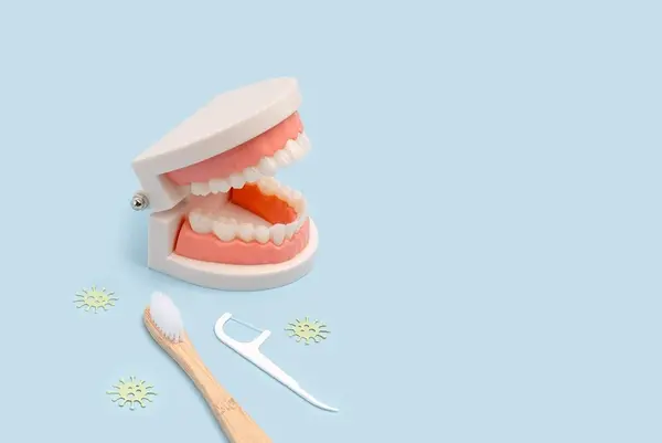 preventive dental care in delta, bc